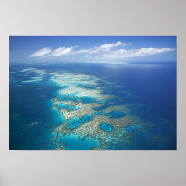 Tunga revet, Great Barrier Reef Marine Park, Poster (Framsidan)