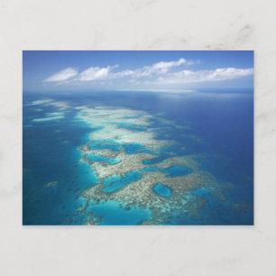 Tunga revet, Great Barrier Reef Marine Park, Vykort