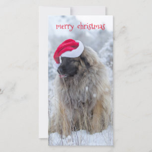 tunga ut Leonberger Julkort
