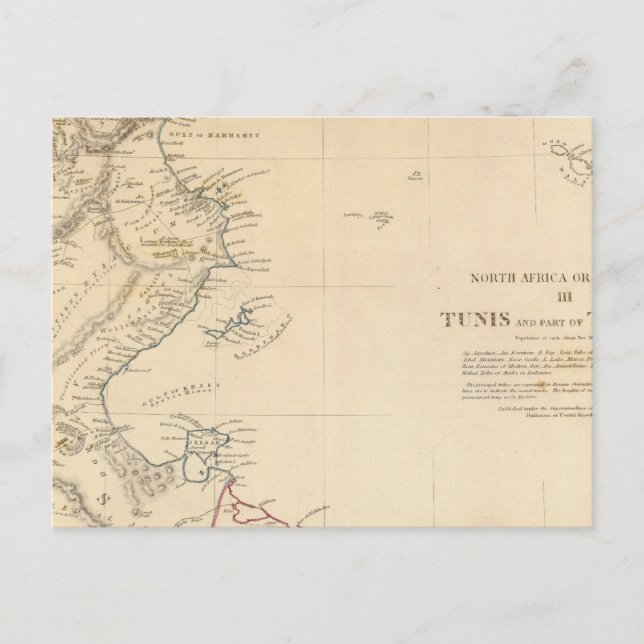 Tunis, Tripoli Vykort (Framsida)