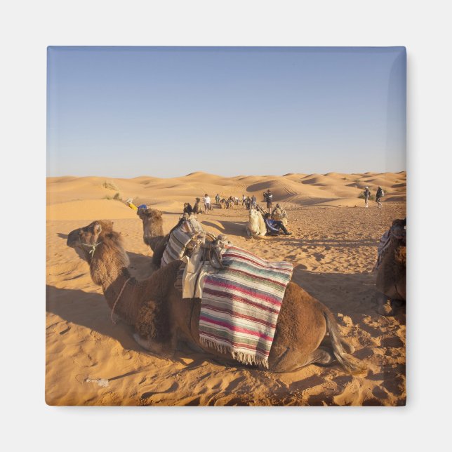 Tunisien, Ksour Area, Ksar Ghilane, Grand Erg 3 Magnet (Framsidan)