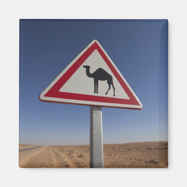 Tunisien, Ksour Area, Ksar Ghilane, Grand Erg 6 Magnet (Framsidan)