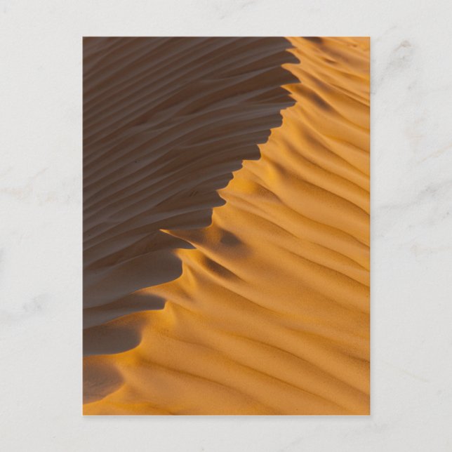 Tunisien, Ksour Area, Ksar Ghilane, Grand Erg Vykort (Framsida)