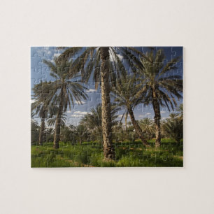 Tunisien, Ksour-området, Ksar Ghilane, dadelpalm Pussel