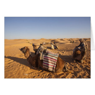 Tunisien, Ksour-området, Ksar Ghilane, Grand Erg 3 Hälsningskort