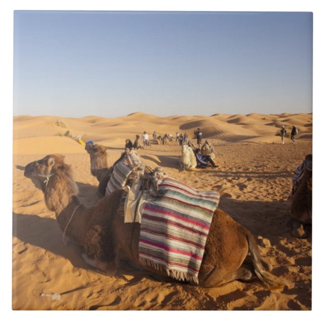 Tunisien, Ksour-området, Ksar Ghilane, Grand Erg 3 Kakelplatta (Framsidan)
