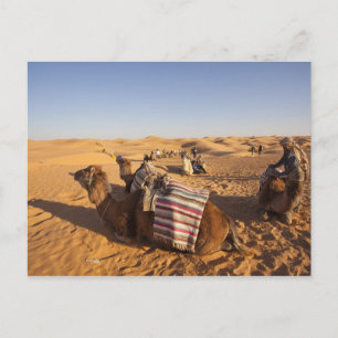 Tunisien, Ksour-området, Ksar Ghilane, Grand Erg 3 Vykort