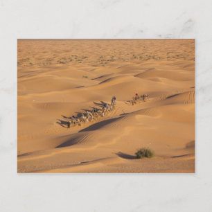 Tunisien, Ksour-området, Ksar Ghilane, Grand Erg 4 Vykort
