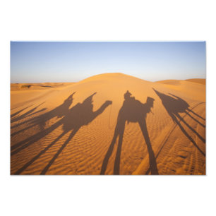 Tunisien, Ksour-området, Ksar Ghilane, Grand Erg 5 Fototryck