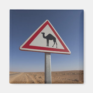 Tunisien, Ksour-området, Ksar Ghilane, Grand Erg 6 Magnet