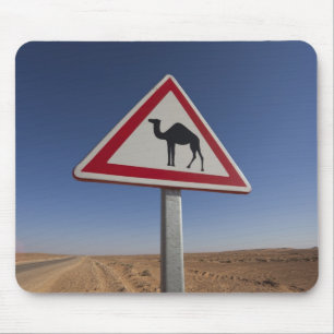 Tunisien, Ksour-området, Ksar Ghilane, Grand Erg 6 Musmatta