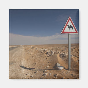 Tunisien, Ksour-området, Ksar Ghilane, Oljeledning Magnet