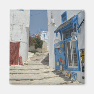 Tunisien magnet