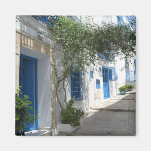 Tunisien Magnet