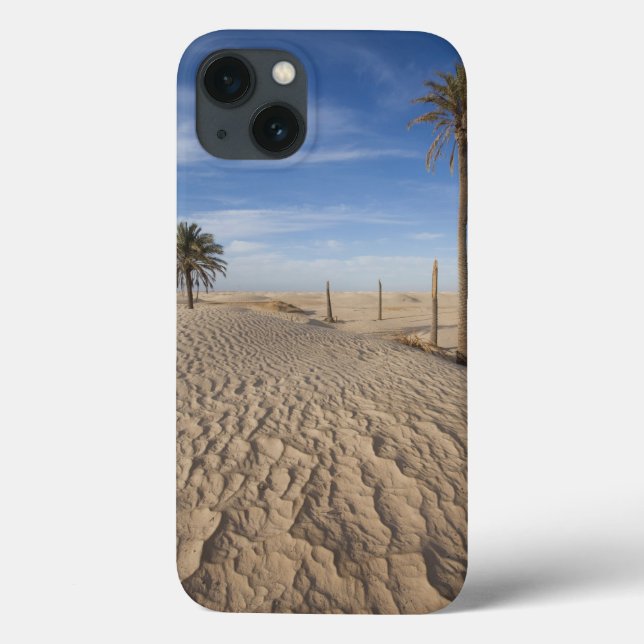 Tunisien, Sahara Desert, Douz, Underbarare Dune, g (Baksida)