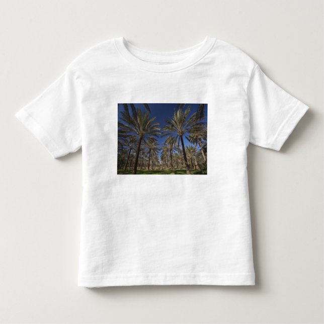 Tunisien, Sahara Desert, Douz, Zonare turism, 2 T-shirt (Framsida)