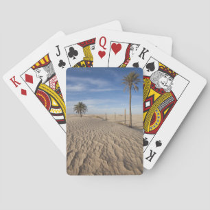 Tunisien, Sahara-öknen, Douz, Stora dynen, gryning Casinokort