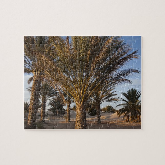 Tunisien, Sahara-öknen, Douz, Stora dynen, palm Pussel (Horisontell)