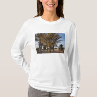 Tunisien, Sahara-öknen, Douz, Stora dynen, palm