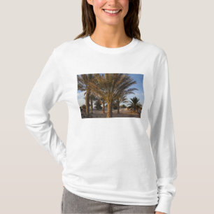 Tunisien, Sahara-öknen, Douz, Stora dynen, palm Tee