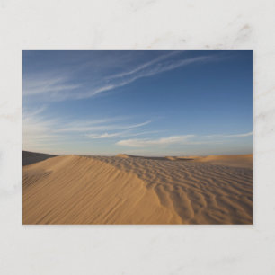 Tunisien, Sahara-öknen, Douz, Stora dynen, skymnin Vykort