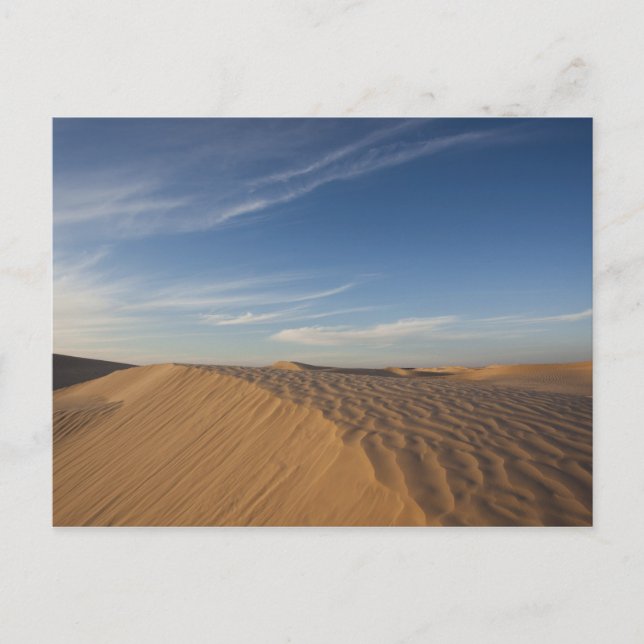 Tunisien, Sahara-öknen, Douz, Stora dynen, skymnin Vykort (Framsida)