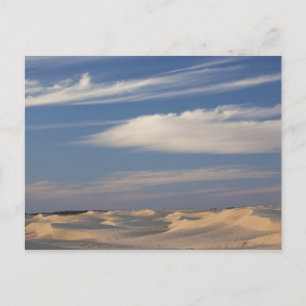 Tunisien, Sahara-öknen, Douz, Stora dynen, skymnin Vykort