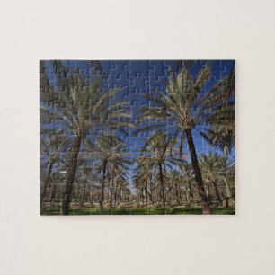 Tunisien, Sahara-öknen, Douz, turistzon, 2 Pussel