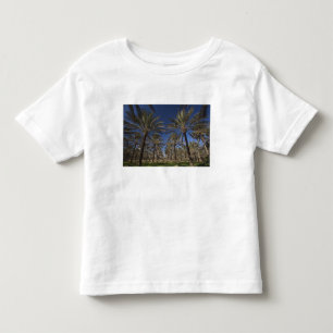 Tunisien, Sahara-öknen, Douz, Zone Touristique, 2 T-shirt