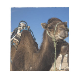 Tunisien, Saharaöknen, Douz, Zone Touristique, Anteckningsblock