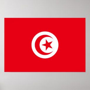 Tunisien - tunisisk flagga poster