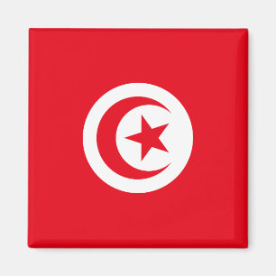 Tunisiens nationella Flagga Magnet