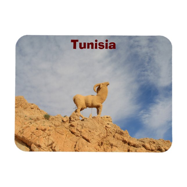 Tunisisk getstat magnet (Horisontell)