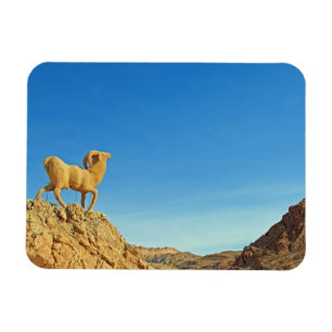 Tunisisk getstat magnet
