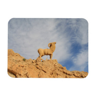 Tunisisk getstat magnet