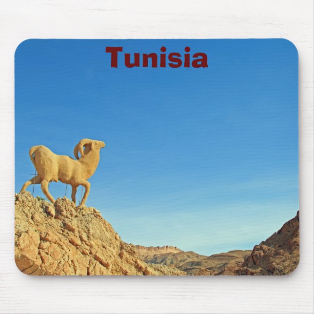 Tunisisk getstat musmatta (Framsidan)