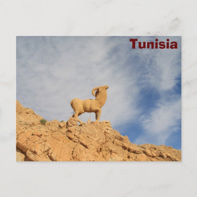Tunisisk getstat vykort (Framsida)