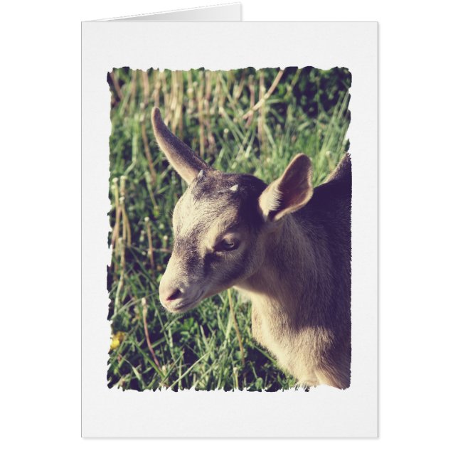 Tunn Vintage Hälsningskort (Framsidan)