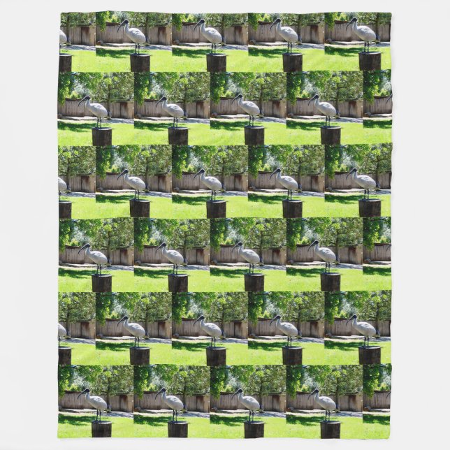 Tunna Chicken (ibis) på en Träd-stump, Fleecefilt (Framsidan)
