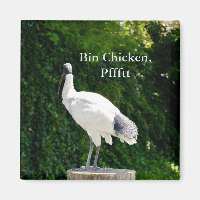 Tunna Chicken Pfftt (Ibis) Magnet (Framsidan)