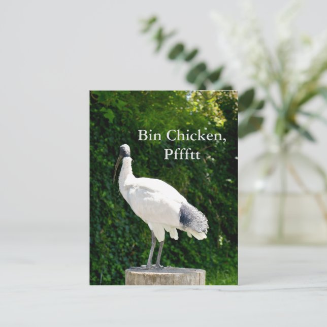 Tunna Chicken Pfftt (Ibis)-vykort Vykort (Stående Fram)