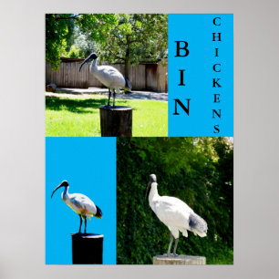 Tunna Chickens (Ibis) Poster