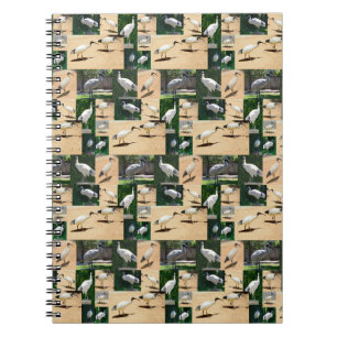 Tunna-kycklingar: A Ibis Photo Collage Anteckningsbok