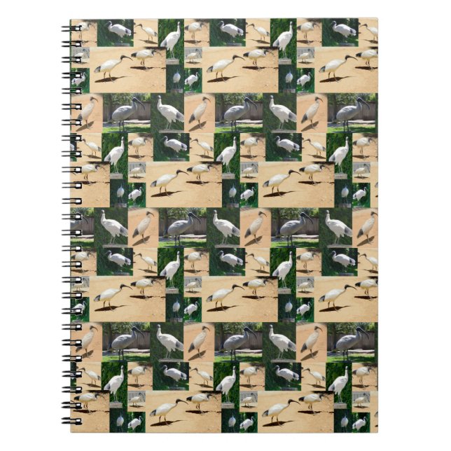 Tunna-kycklingar: A Ibis Photo Collage Anteckningsbok (Framsidan)