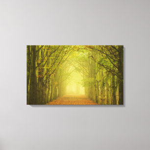 Tunnel av ljust canvastryck