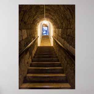 Tunnel till en gammal saltgruva poster