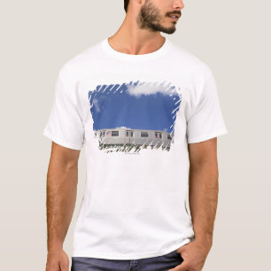 Tunnelbananbilar Tee