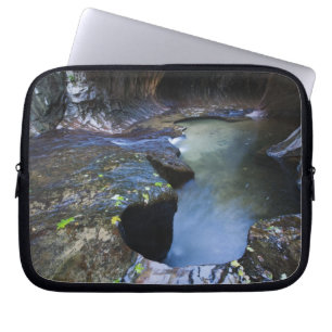 Tunnelbananspringakanjonen Laptop Sleeve