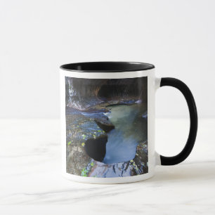 Tunnelbananspringakanjonen Mugg