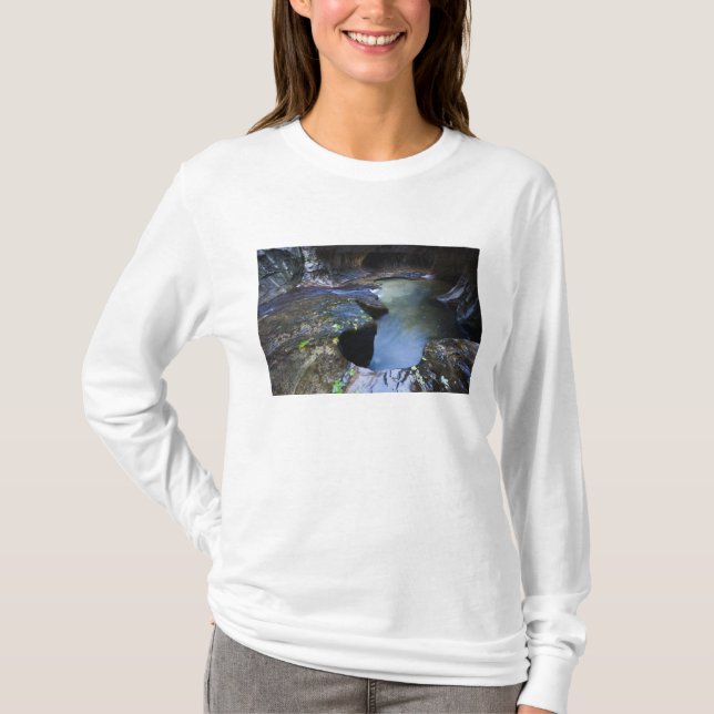 Tunnelbananspringakanjonen T-shirt (Framsida)